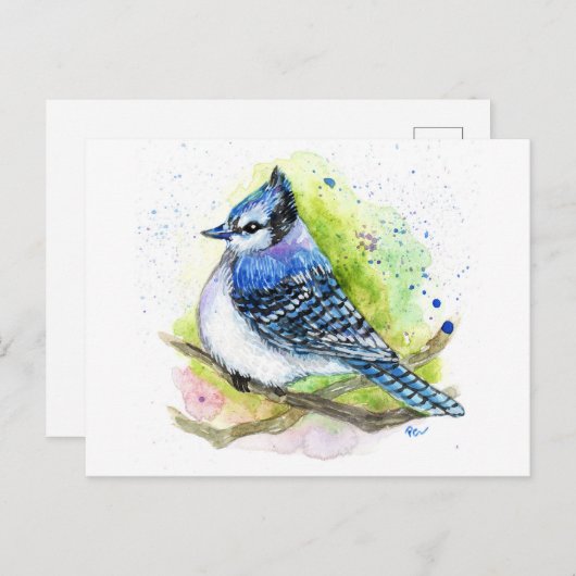 Carte Postale Blue Jay (Devant / Derrière)