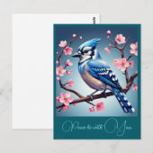 CARTE POSTALE " BLUE JAY " (Devant / Derrière)
