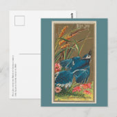 Carte Postale Blue Jay (Devant / Derrière)