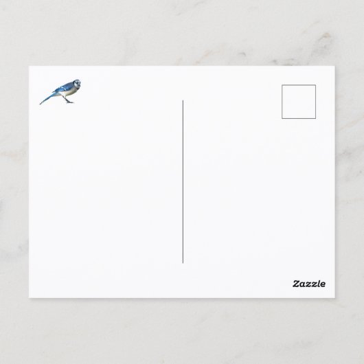 Carte Postale Blue Jay Curious Gaze Photographic (Dos)