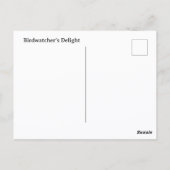 Carte Postale Blue Jay Nature photographique personnalisable (Dos)