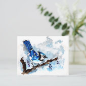 Carte Postale Blue Jay Winter (Debout devant)