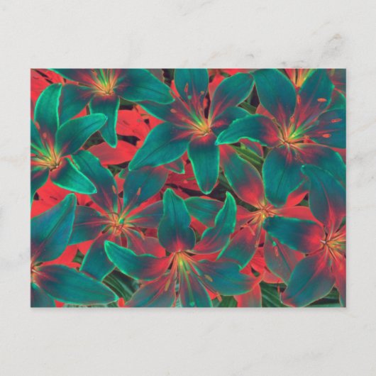 Carte postale Blue Lilies (Devant)