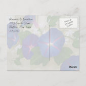 Carte Postale Blue Morning Glory Flowers Merci (Dos)