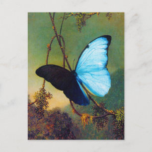 Carte Postale Blue Morpho Butterfly Postcard