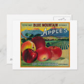 Carte Postale Blue Mountain Apple Crate LabelCove, OU (Devant / Derrière)