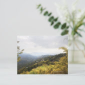 Carte Postale Blue Mountains sur Kingston (Debout devant)