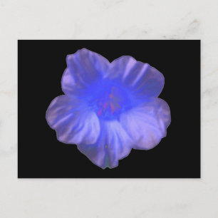 Carte postale Blue Nasturtium Flower
