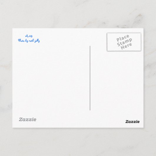 Carte postale Blue Parakee (Dos)