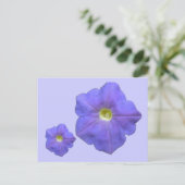Carte postale Blue Petunias (Debout devant)