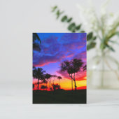 Carte Postale Blue Red Sunset Exotic Hawaiian Beach Palm Trees (Debout devant)