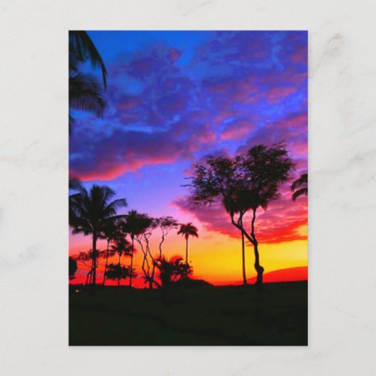 Carte Postale Blue Red Sunset Exotic Hawaiian Beach Palm Trees (Devant)