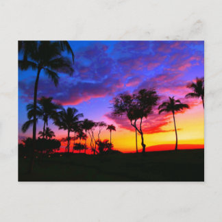 Carte Postale Blue Red Sunset Exotic Hawaiian Beach Palm Trees