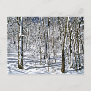 Carte Postale Blue Ridge Mountain Magic sous un sort d'hiver
