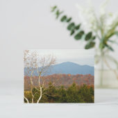 Carte Postale Blue Ridge Mountains VA Paysage Photo Shenandoah (Debout devant)