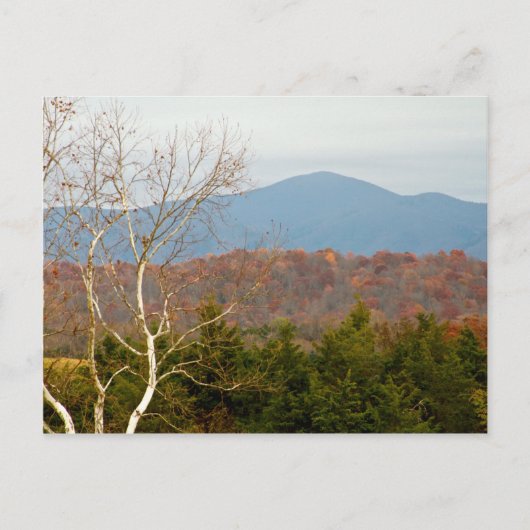 Carte Postale Blue Ridge Mountains VA Paysage Photo Shenandoah (Devant)