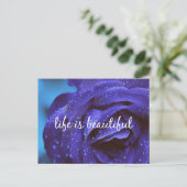 Carte Postale Blue Rose Life is beautiful Quote (Debout devant)