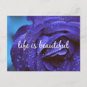Carte Postale Blue Rose Life is beautiful Quote