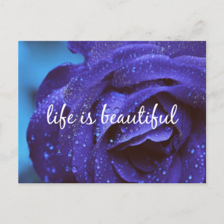 Carte Postale Blue Rose Life is beautiful Quote