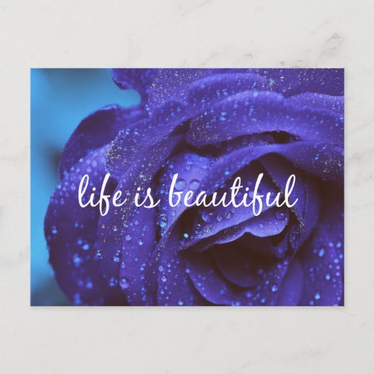 Carte Postale Blue Rose Life is beautiful Quote (Devant)