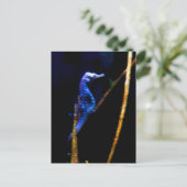 Carte Postale Blue Seahorse CB (Debout devant)