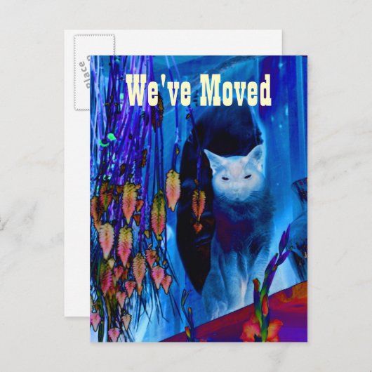 Carte postale Blue Siamese Chat Moving New Address (Devant / Derrière)