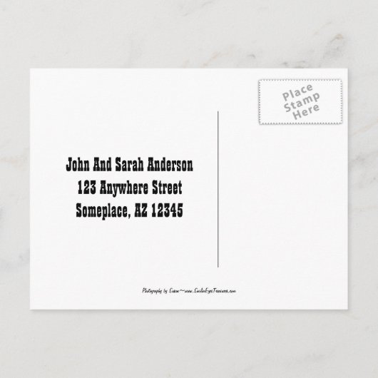 Carte postale Blue Siamese Chat Moving New Address (Dos)