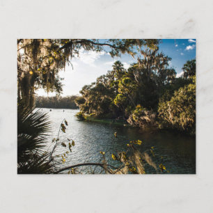 Carte Postale Blue Springs State Park, Floride