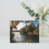 Carte Postale Blue Springs State Park, Floride (Debout devant)