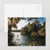 Carte Postale Blue Springs State Park, Floride (Devant / Derrière)