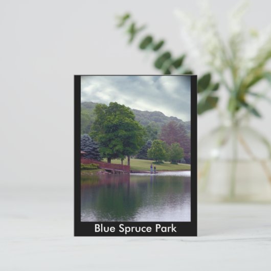Carte Postale Blue Spruce Park (Debout devant)