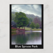 Carte Postale Blue Spruce Park (Devant)