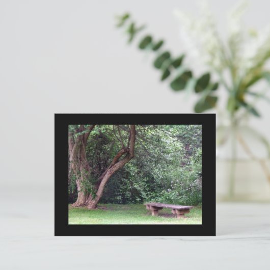 Carte Postale Blue Spruce Park #3 (Debout devant)