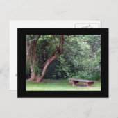 Carte Postale Blue Spruce Park #3 (Devant / Derrière)