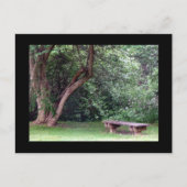 Carte Postale Blue Spruce Park #3 (Devant)