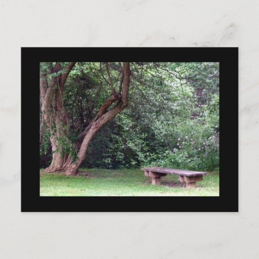 Carte Postale Blue Spruce Park #3 (Devant)