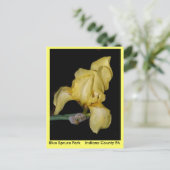 Carte Postale Blue Spruce Park Indiana County PA (Debout devant)