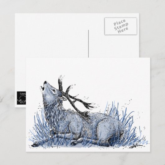 Carte postale Blue Stag (Devant / Derrière)