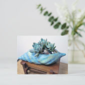 Carte Postale Blue Succulent dans le coquillage par des modèles (Debout devant)
