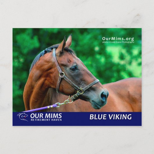 Carte postale Blue Viking (Devant)