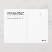 Carte Postale Blue Whale of Catoosa Route 66 Postcard (Dos)