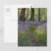 Carte postale Bluebell Path (Devant / Derrière)