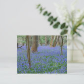 Carte postale Bluebell Wood (Debout devant)