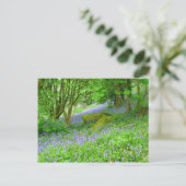 Carte Postale Bluebell Woods (Debout devant)