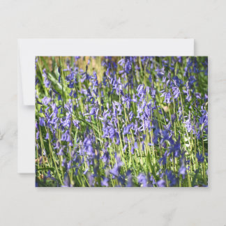 Carte Postale Bluebells