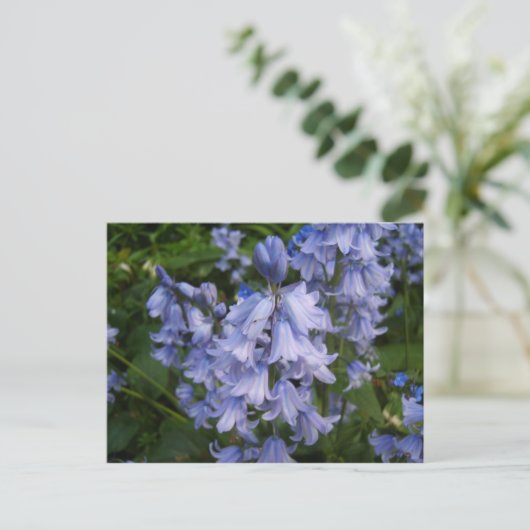 Carte Postale Bluebells (Debout devant)