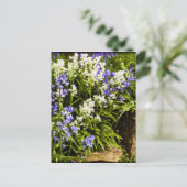 Carte Postale Bluebells (Debout devant)