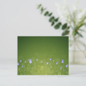 Carte Postale Bluebells (Debout devant)
