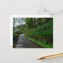 Bluebells on Eastwood Lane