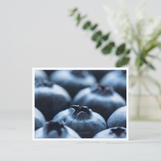 Carte postale - Blueberries (Debout devant)